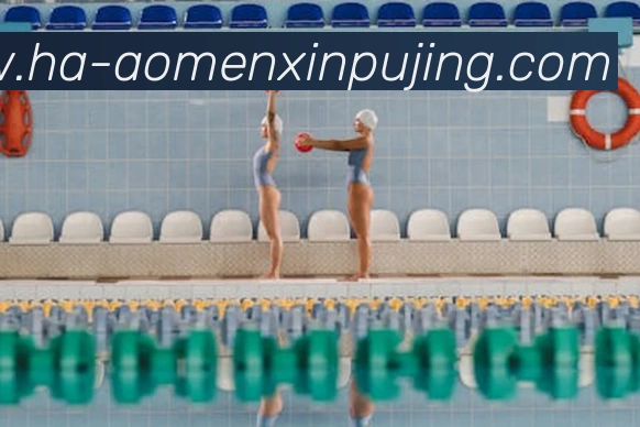 澳门新葡京娱乐平台生态图