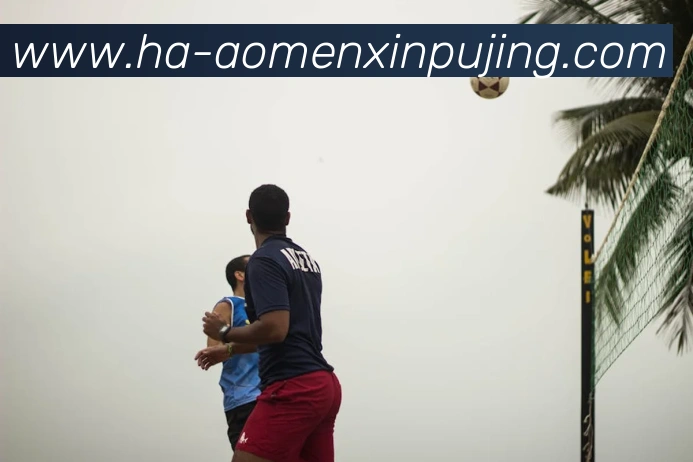 澳门新葡京娱乐APP 封面图